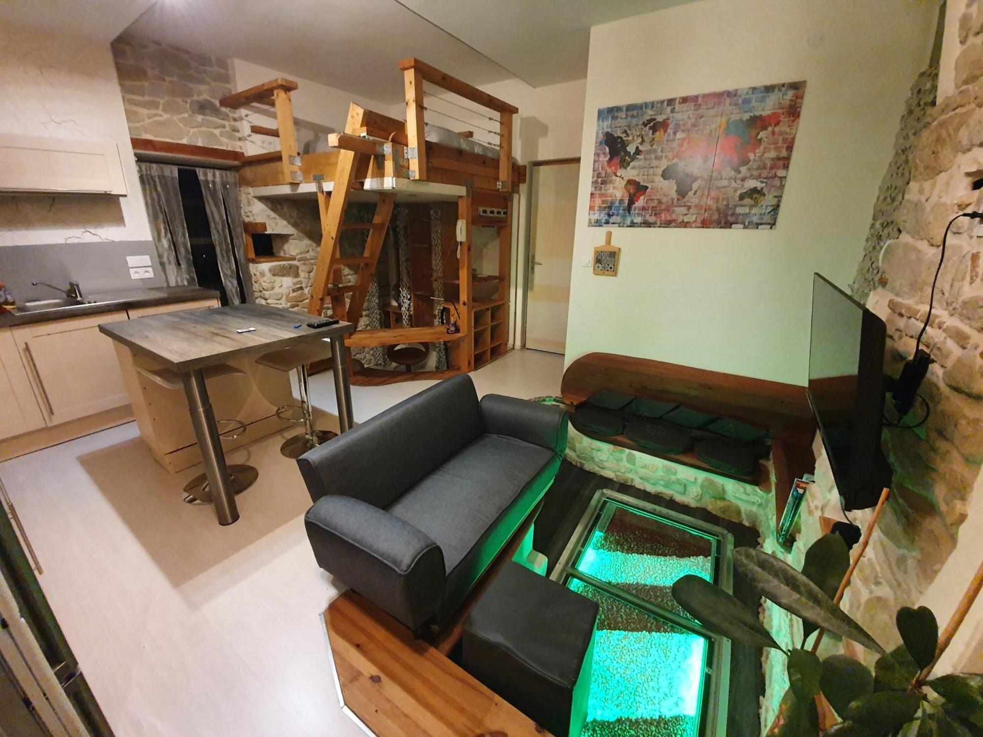 Racine De Pierre Apartment Castres  Room photo